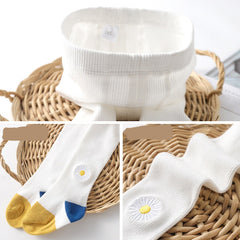 RM20072024-6 كلوتات خريفية شتوة