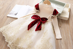 SA-013 فستان الاميرة خريفي شتوي