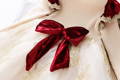 SA-013 فستان الاميرة خريفي شتوي