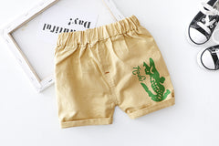 AO0111-09 طقم قطعتين ( بلوزة قطنية + شورت كتان ناعم)