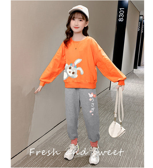 AO0505-18 بدلة رياضية قطنية دافئة ( بلوزة + بنطلون) ربيعية وخريفية