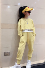 AO0505-37 طقم قطني بناتي ( بلوزة قطعتين + بنطلون )