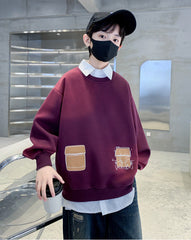 WZH301124-6 هودي ولادي قطن دافي