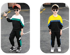 WZS040924-2 طقم سبورت قطن خريفي قطعتين ( بلوزة + بنطلون )