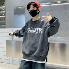 WZH301124-18 هودي سلام دانك قطن دافي