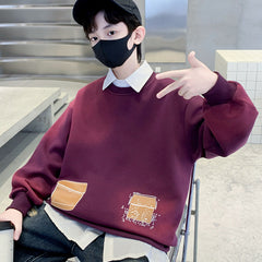 WZH301124-6 هودي ولادي قطن دافي