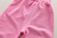 SSN040924-17 طقم بناتي ربيعي خريفي قطن دافي قطعتين ( بلوزة + بنطلون)