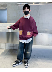 WZH301124-6 هودي ولادي قطن دافي