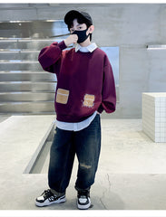 WZH301124-6 هودي ولادي قطن دافي