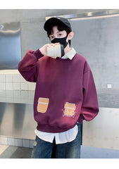 WZH301124-6 هودي ولادي قطن دافي