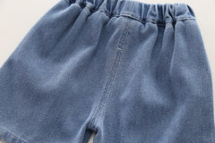 SSX220824-2 طقم صيفي قطعتين ( قميص + شورت)