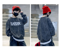 WZH301124-18 هودي سلام دانك قطن دافي