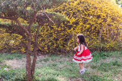 AO1128-46 فستان لوليتا بجي عدة طبقات مع نفشة